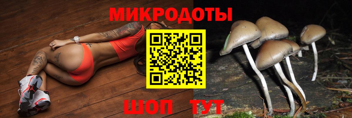 Торжок  Галлюциногенные грибы Psilocybine cubensis  Галлюциногенные грибы GOLDEN TEACHER  Вход с VPN 